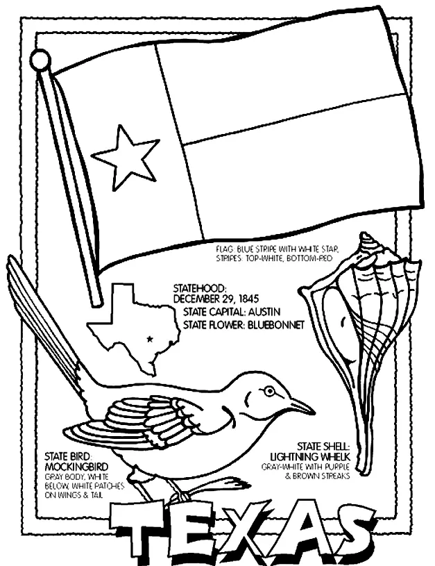 Desenhos de Texas Para Colorir