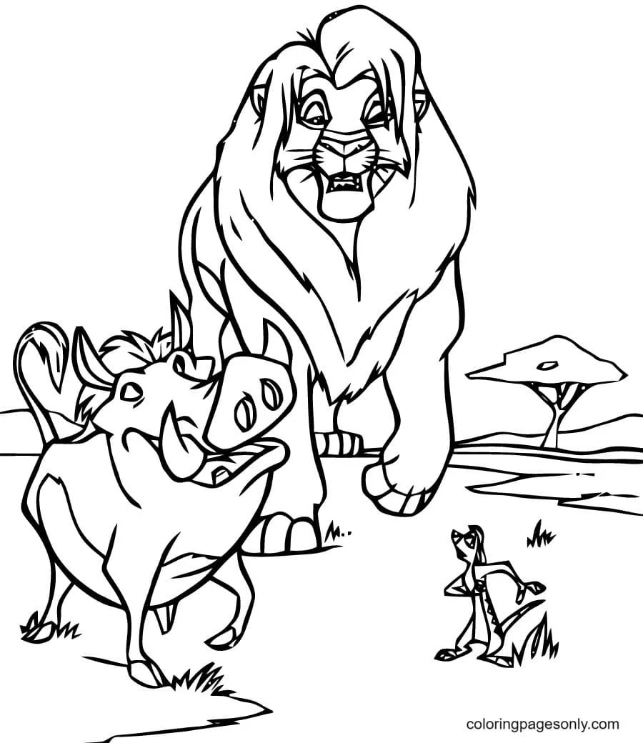 Desenhos de Timao e Pumba Para Colorir 3