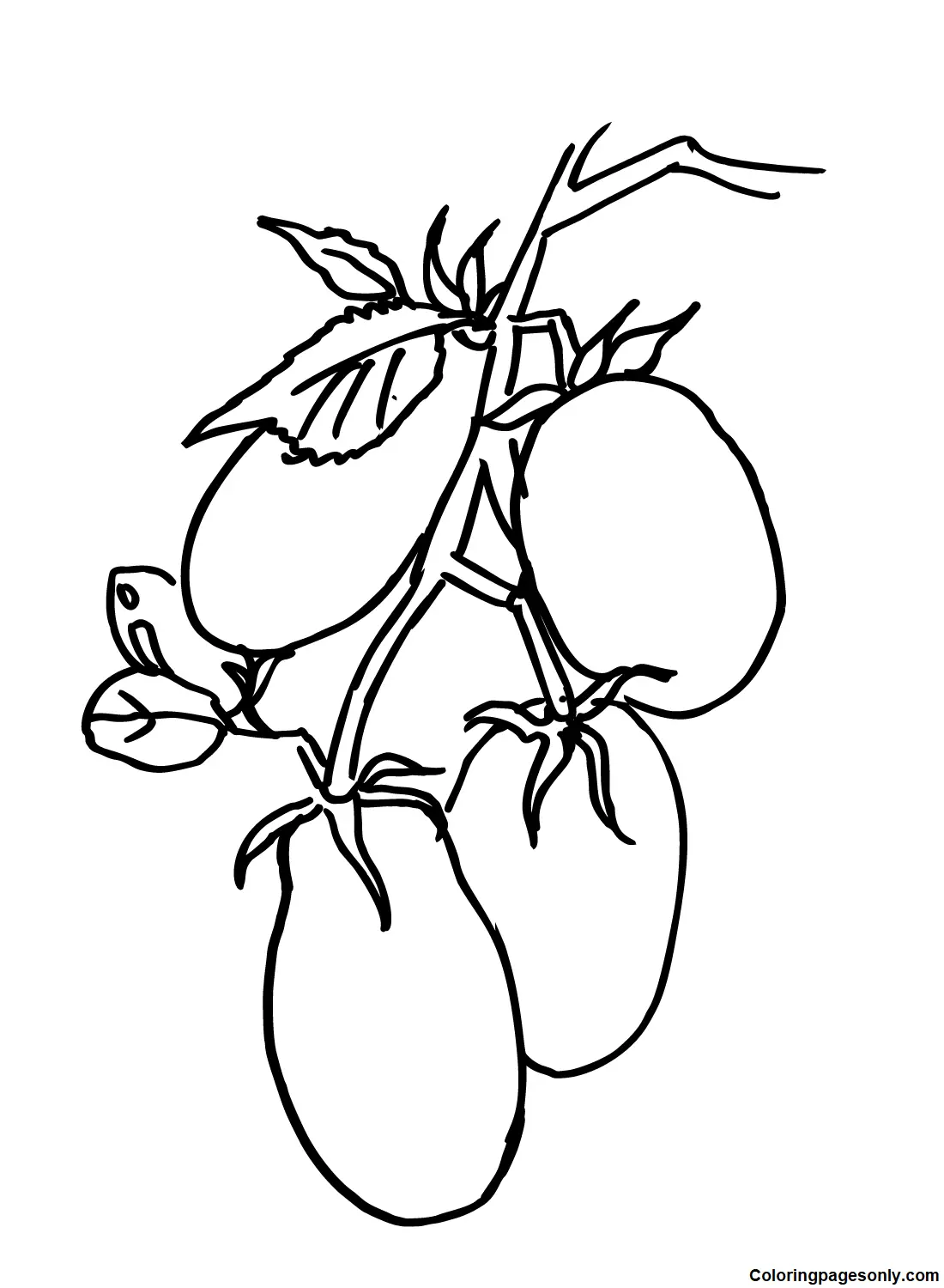 Desenhos De Vegetais Para Colorir