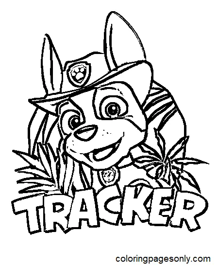 Desenhos de Tracker patrulha canina Para Colorir 21