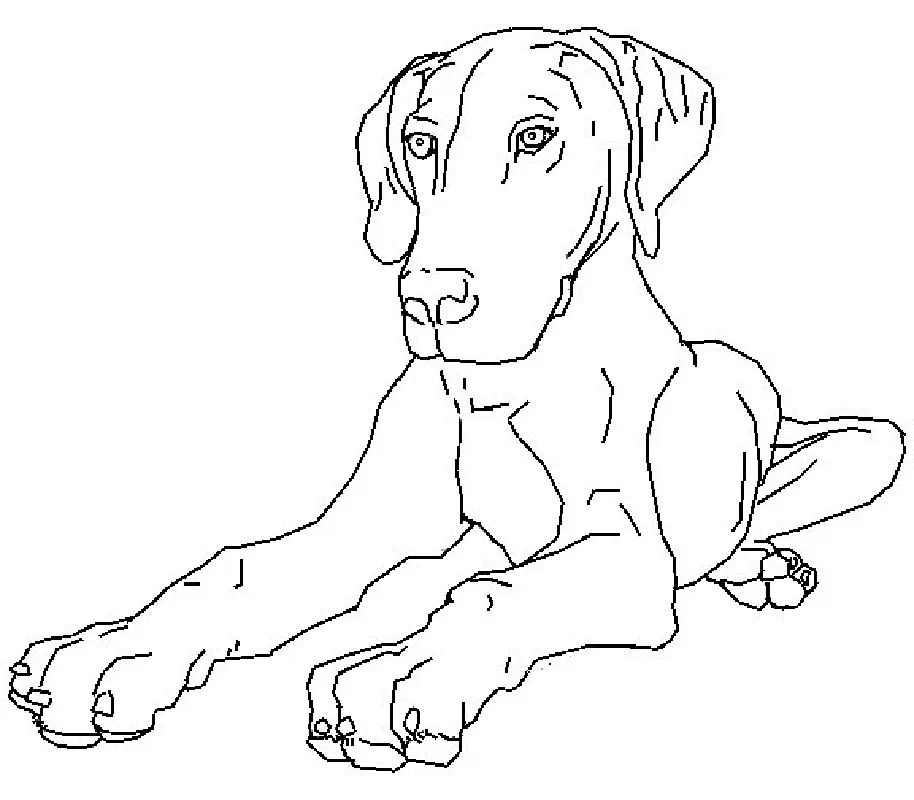 Dog Coloring Pages 112