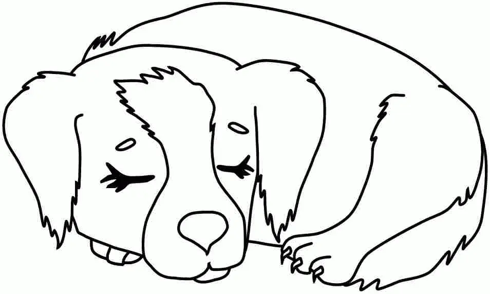 Desenhos de Dog Para Colorir 71