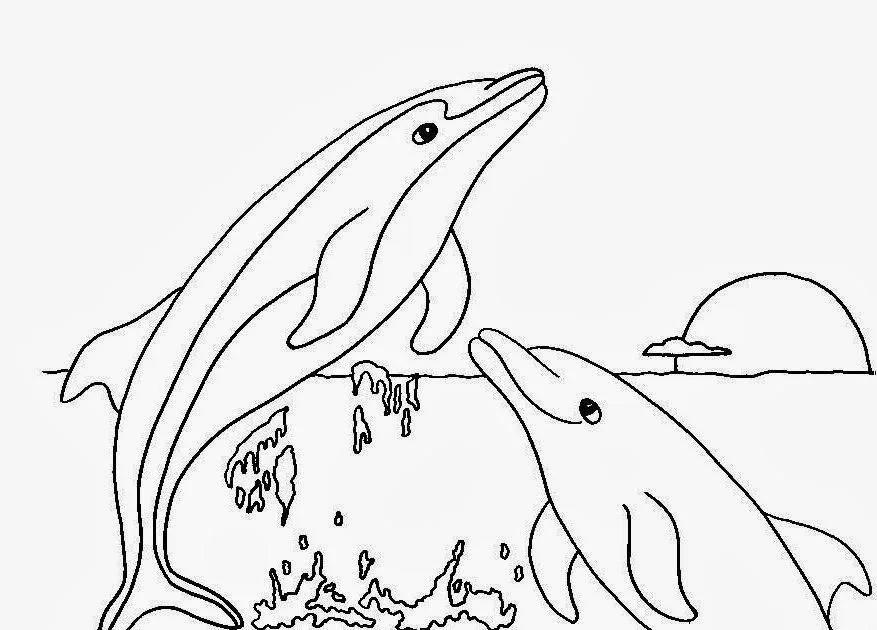Delphin Ausmalbilder 102
