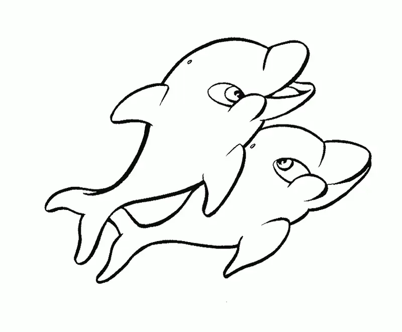 Dolphin Coloring Pages 107