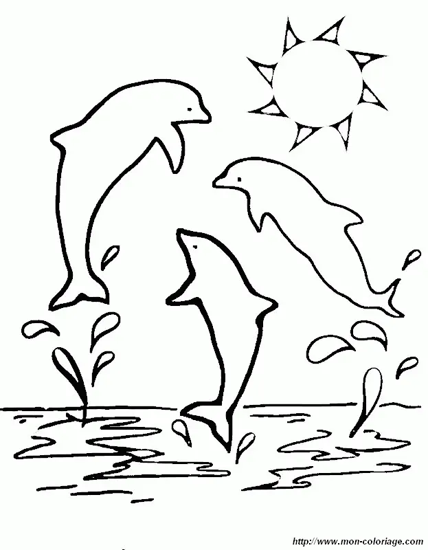 Dolphin Coloring Pages