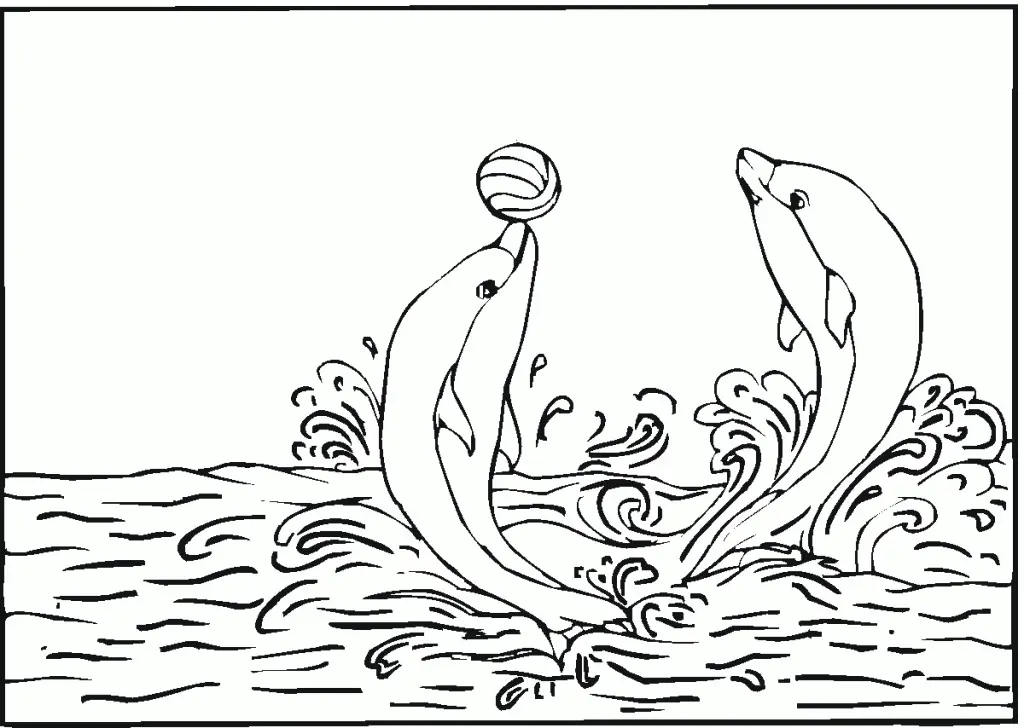 Dolphin Coloring Pages 58