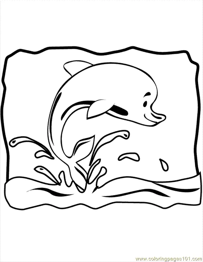Desenhos de Golfinhos Para Colorir 62