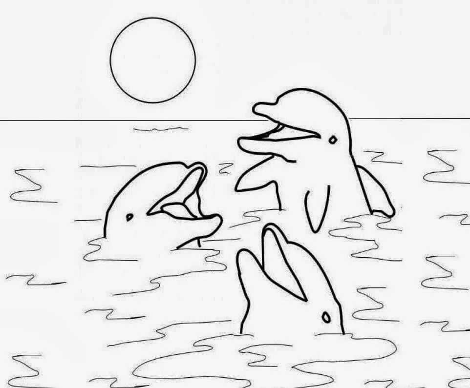 Dolphin Coloring Pages 81