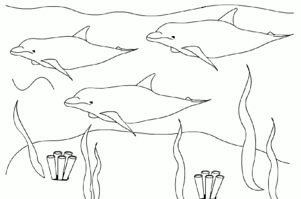 Desenhos de Golfinhos Para Colorir 89