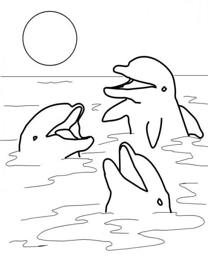Dolphin Coloring Pages 91
