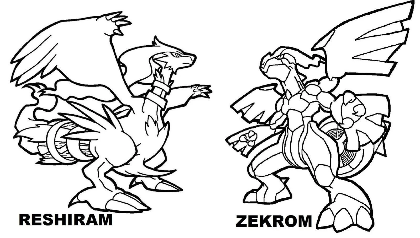 Desenhos de Dragon Para Colorir 55