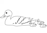 Ducks Coloring Pages 49