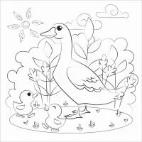 Ducks Coloring Pages 52