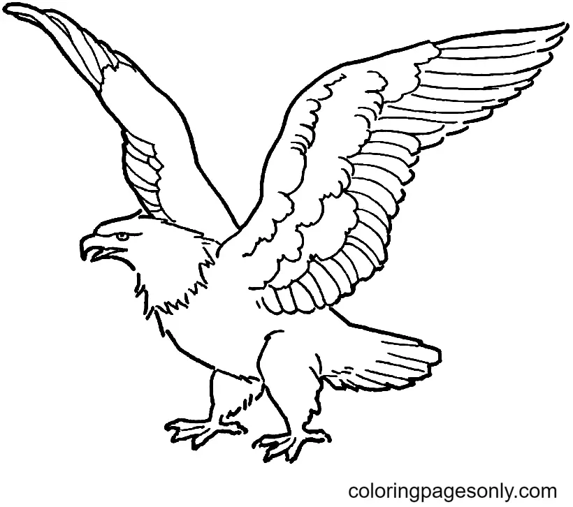 Eagle Coloring Pages 10