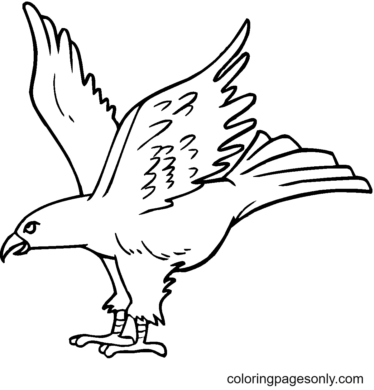 Eagle Coloring Pages 6