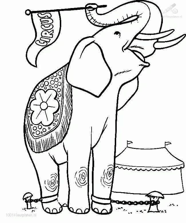 Elephant Coloring Pages 10