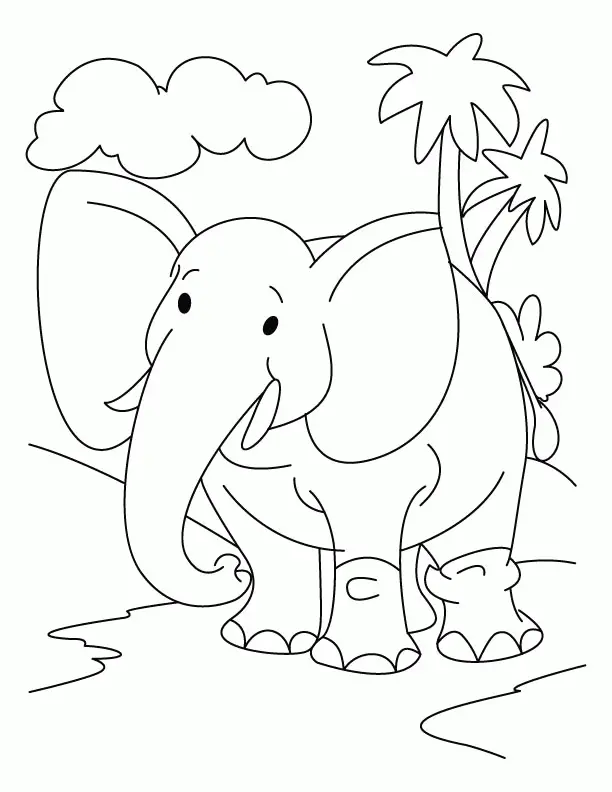 Desenhos de Elephant Para Colorir 12