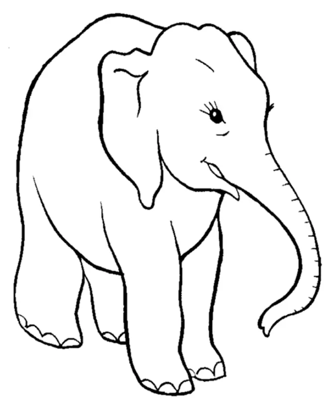 Desenhos de Elephant Para Colorir 14