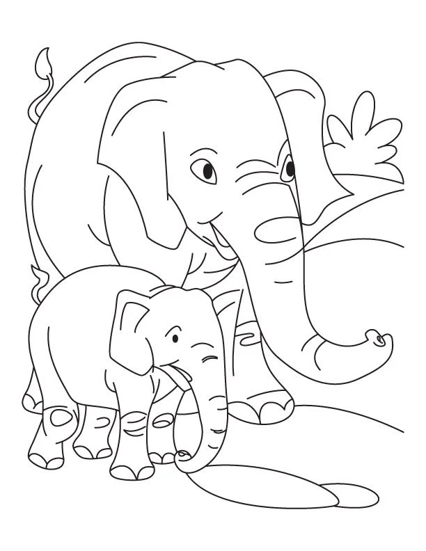 Desenhos de Elephant Para Colorir 16