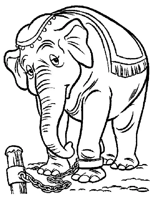 Desenhos de Elephant Para Colorir 25