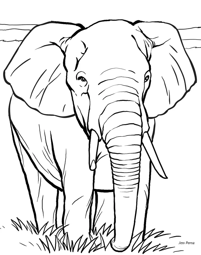 Elephant Coloring Pages 36