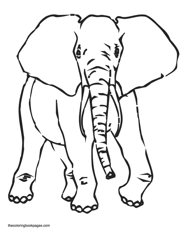 Desenhos de Elephant Para Colorir 42