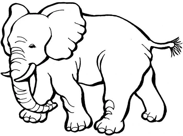 Elephant Coloring Pages 51