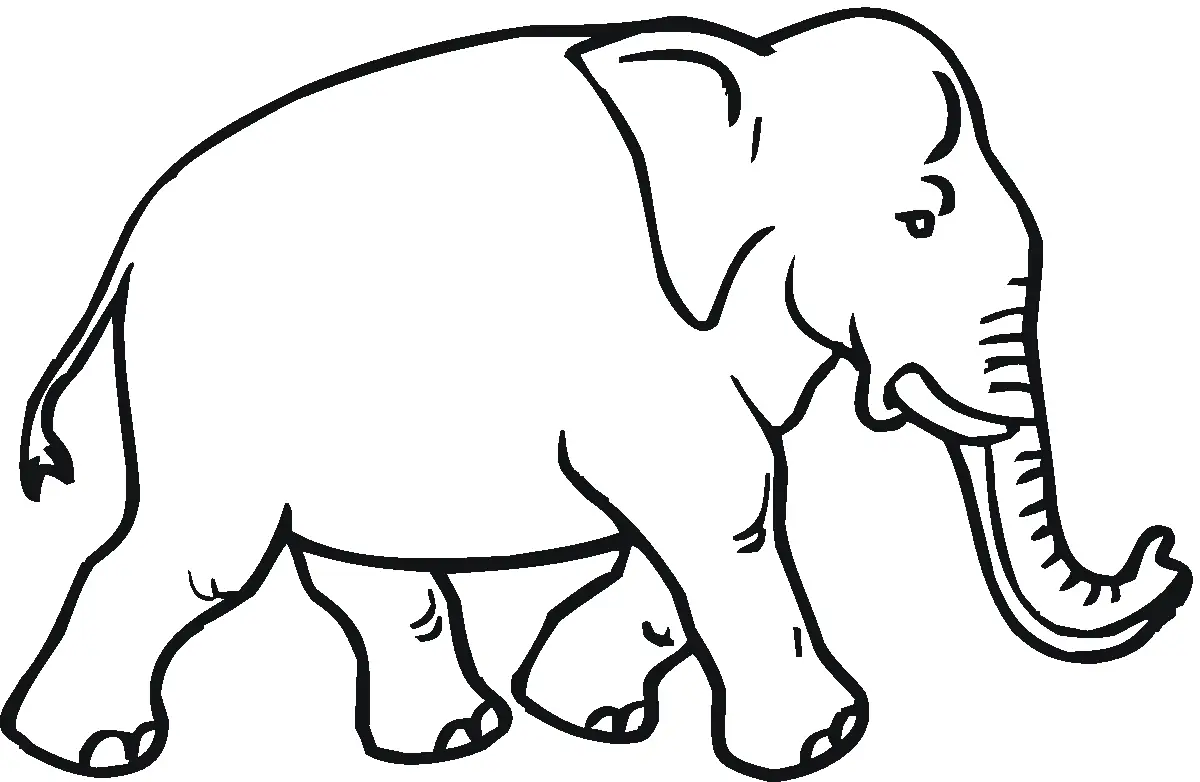 Elephant Coloring Pages 59