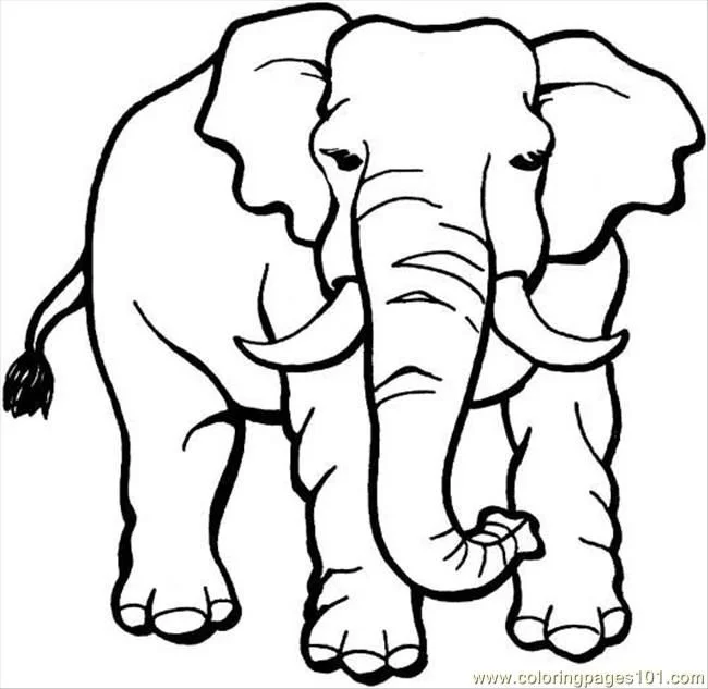 Elephant Coloring Pages 63