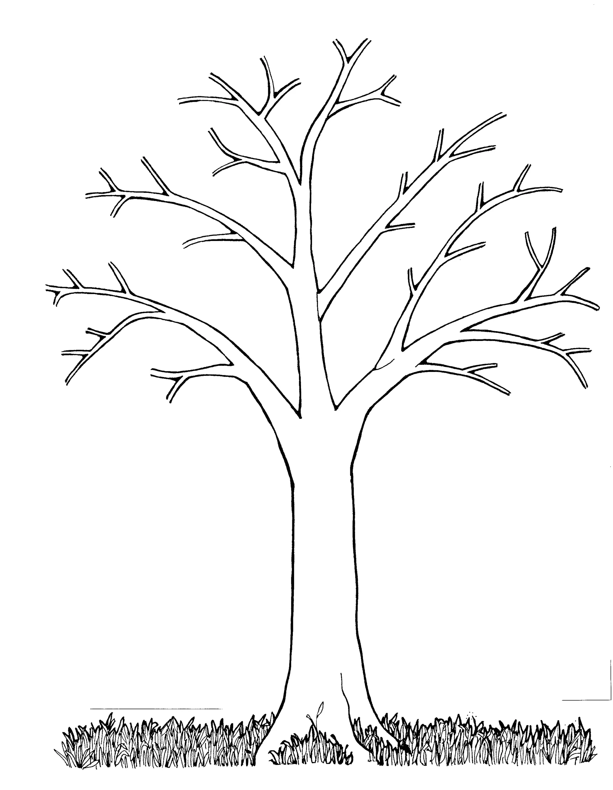 Fall Trees Coloring Pages 2