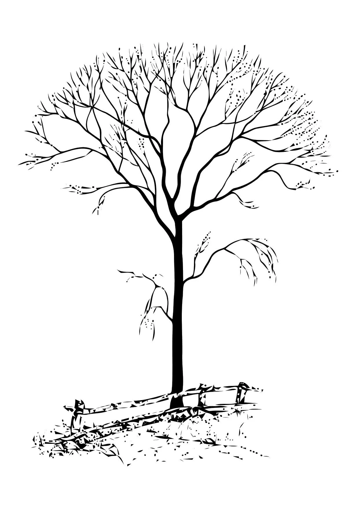 Fall Trees Coloring Pages 21