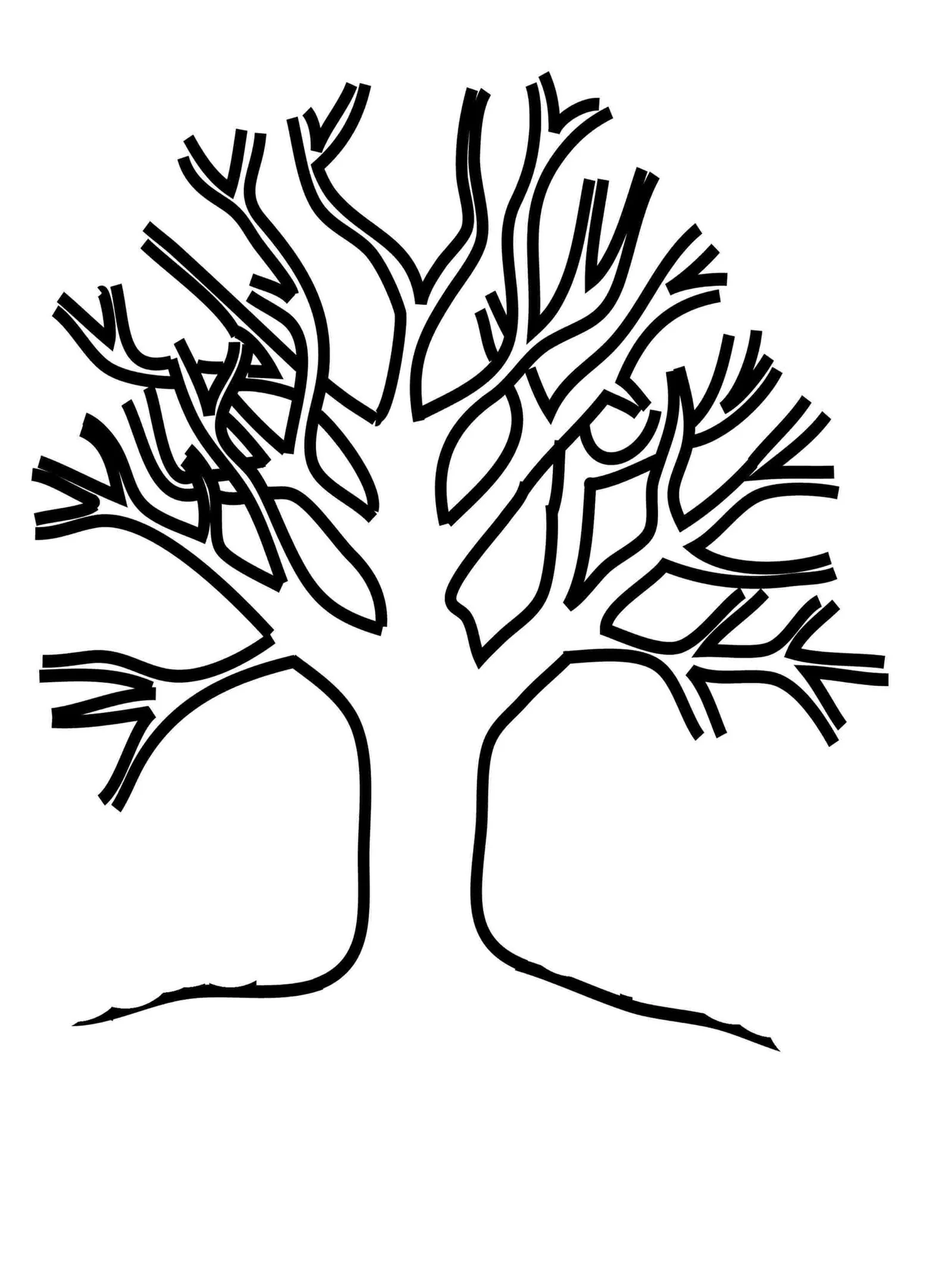 Fall Trees Coloring Pages 24