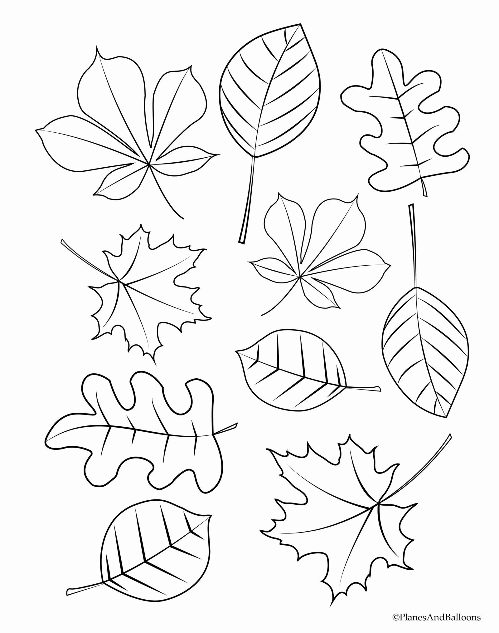 Fall Trees Coloring Pages 25