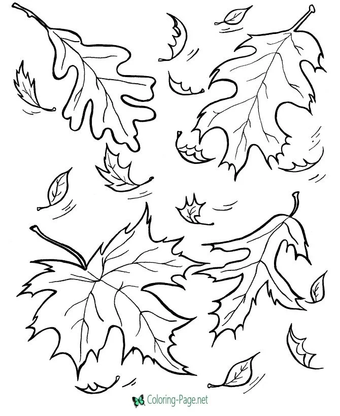 Fall Trees Coloring Pages 26