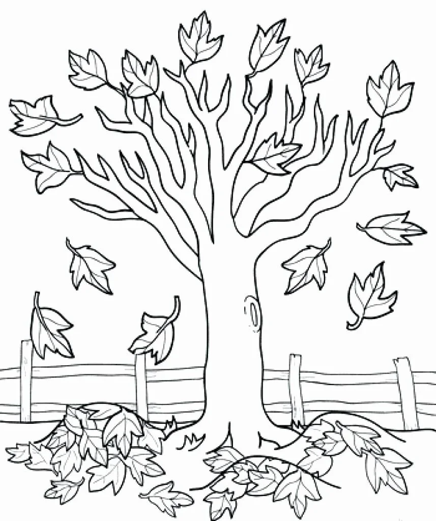 Fall Trees Coloring Pages 27