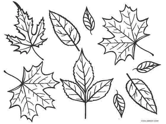 Fall Trees Coloring Pages 29