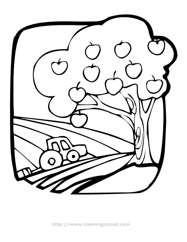 Fall Trees Coloring Pages 36