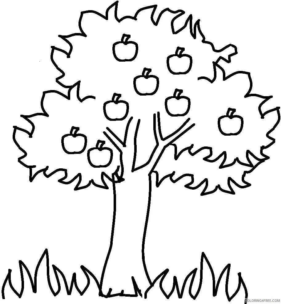 Fall Trees Coloring Pages 37