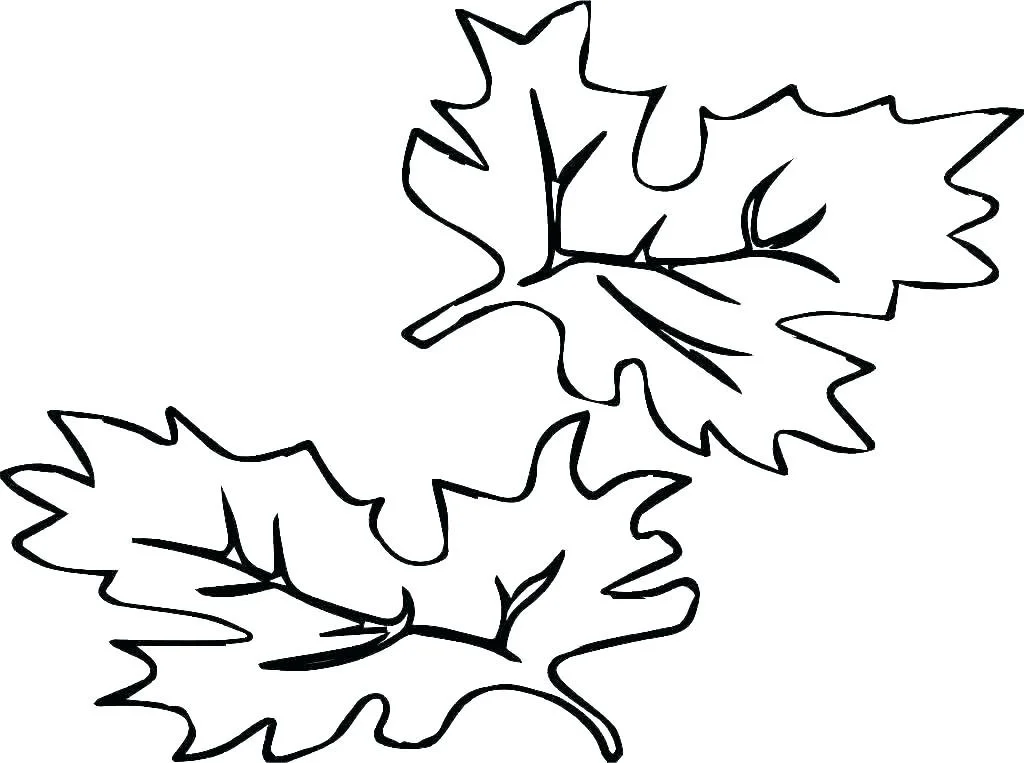 Fall Trees Coloring Pages 38