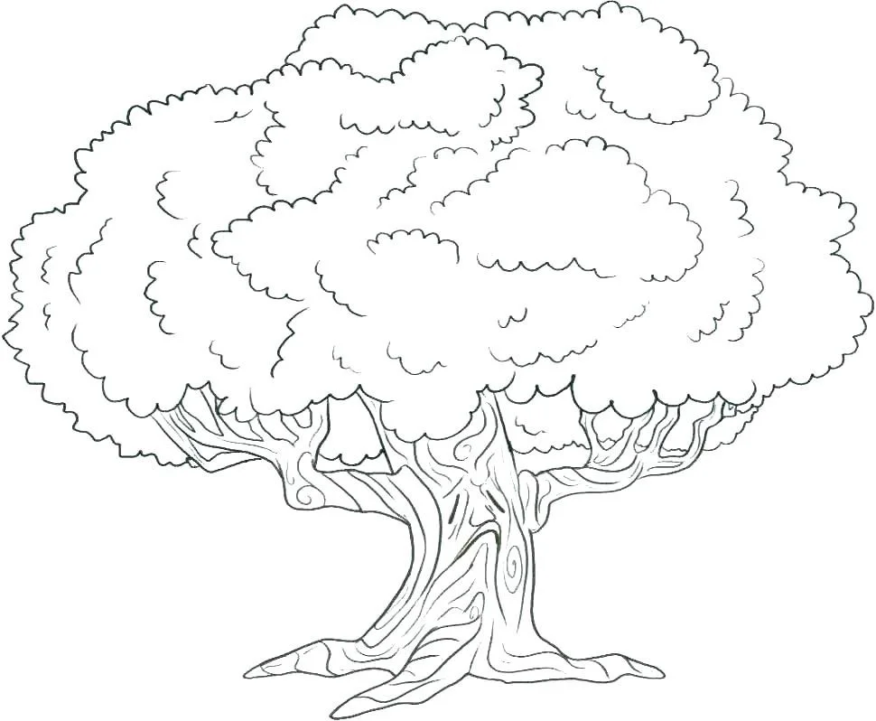 Fall Trees Coloring Pages 40