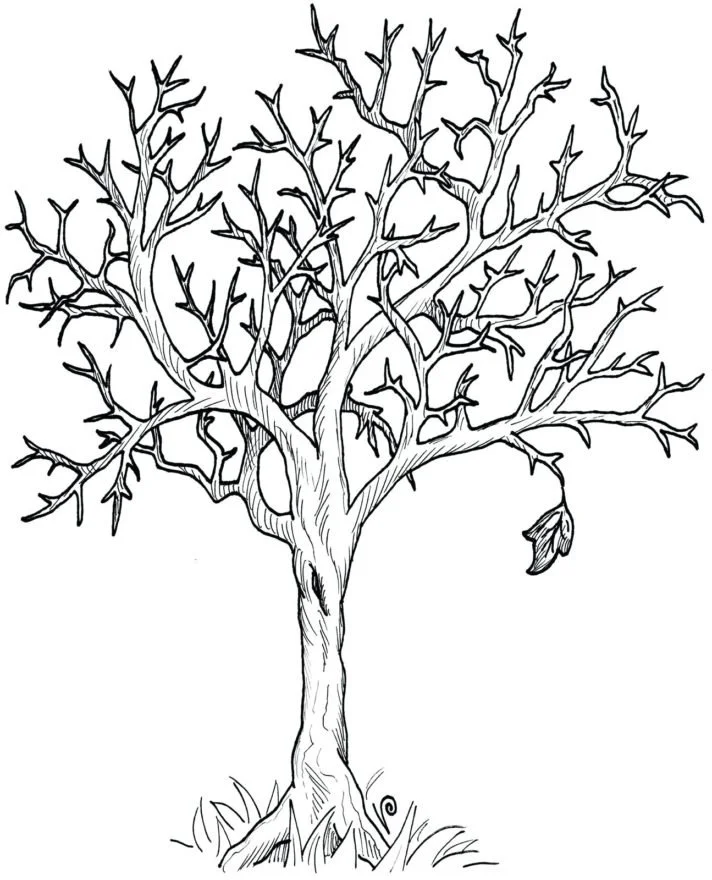 Fall Trees Coloring Pages 7