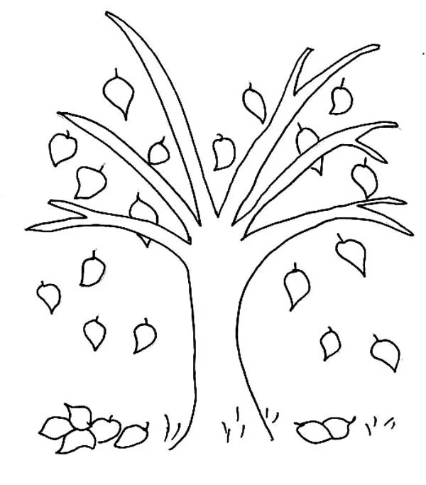 Fall Trees Coloring Pages 9