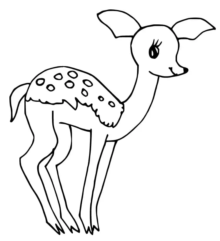 Fawn Coloring Pages