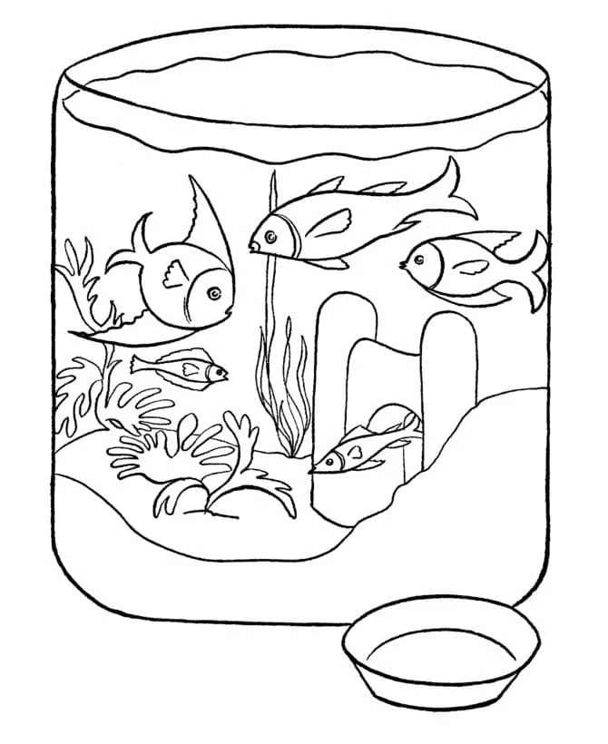 Desenhos de Aquario Para Colorir 50