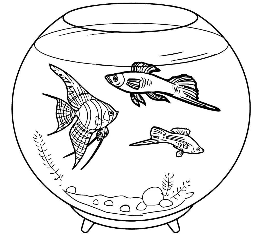 Peceras Para Colorear 53
