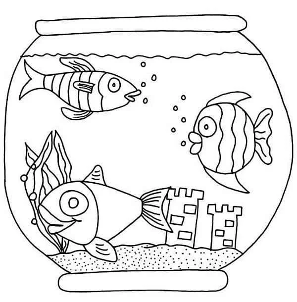 Peceras Para Colorear 60