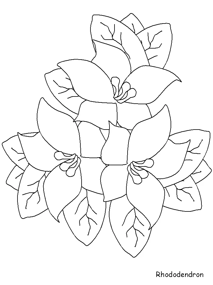 Flower Coloring Pages 33