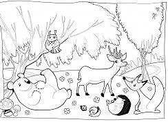 Forest Coloring Pages 10