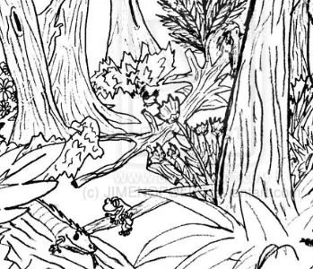 Forest Coloring Pages 16