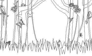 Forest Coloring Pages 32